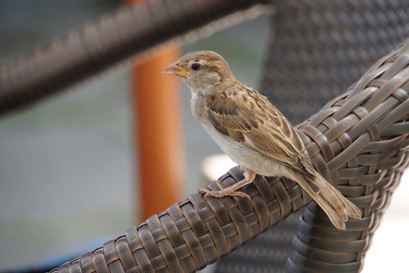 19-07-19_HK-LI-KN_0202_LeS_00393